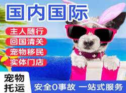 荆州沙市空运地址国际宠物托运 【国
